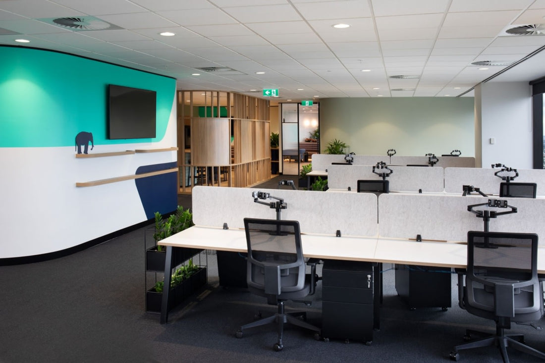 Koda Capital Offices – Brisbane