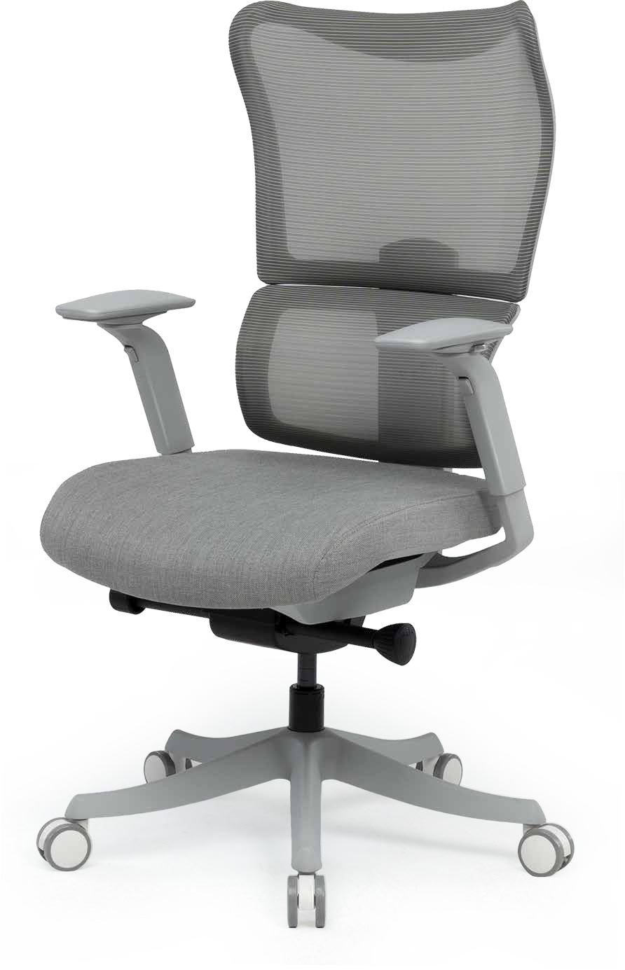 FS-BS8PRO 人體工學椅