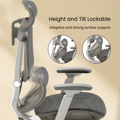 FS-C7 人體工學椅