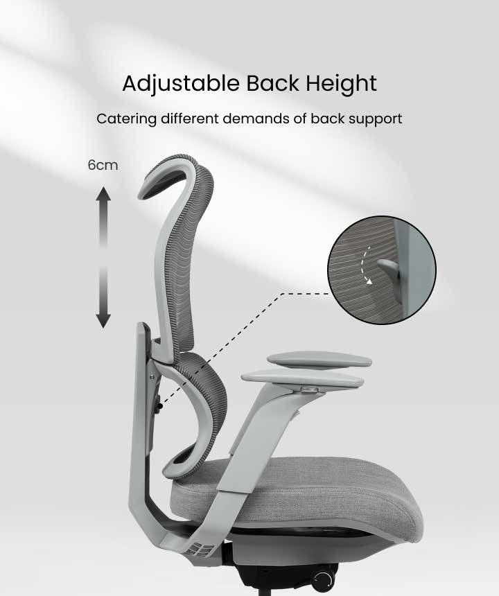 FS-BS8PRO 人體工學椅