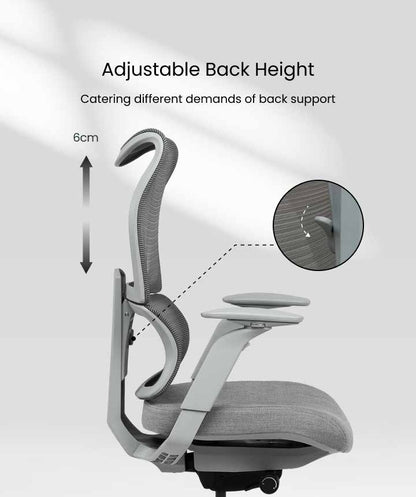 FS-BS8PRO 人體工學椅