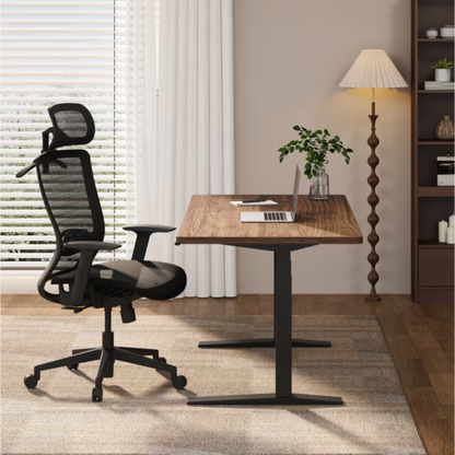 FS-BS3 人體工學椅