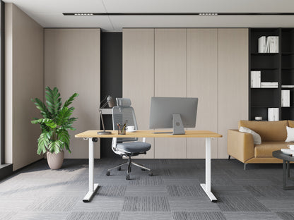 FS-EN1 Single-motor Standing Desk Frame 升降腳架