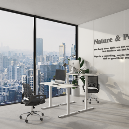 FS-FQ2 Single-motor Standing Desk 升降檯